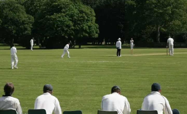 100+ Cricket Team Names: Best Ideas for Every Cricket Lover